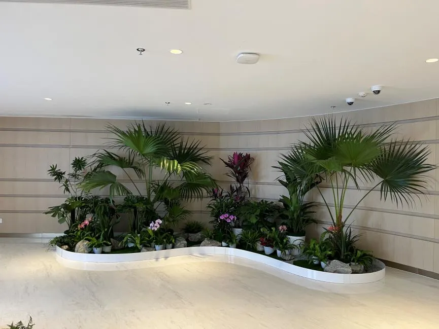 选宁波余姚花卉租赁，享贴心服务，绽花卉魅力！